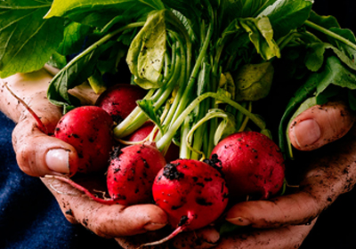 Imagen referencial iniciativa del Centro de Innovación Gastronómica de INACAP