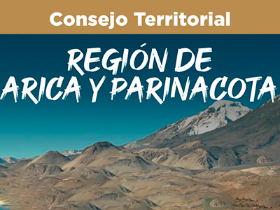 Consejo Territorial de Arica y Parinacota