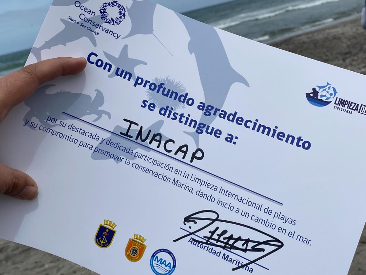 Estudiantes de INACAP Iquique participan en jornada de limpieza de playas