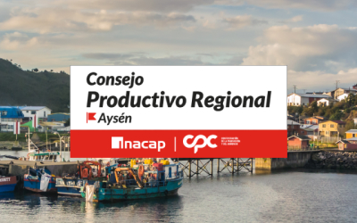 Consejo Productivo Regional Aysén