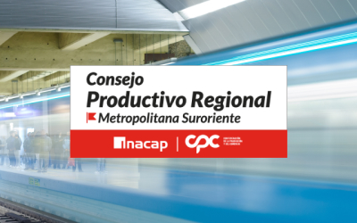 Consejo Territorial Región Metropolitana Suroriente