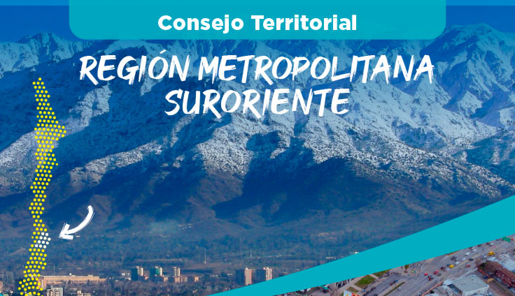 Consejo Territorial Región Metropolitana Suroriente