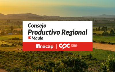 Consejo Productivo Regional Maule