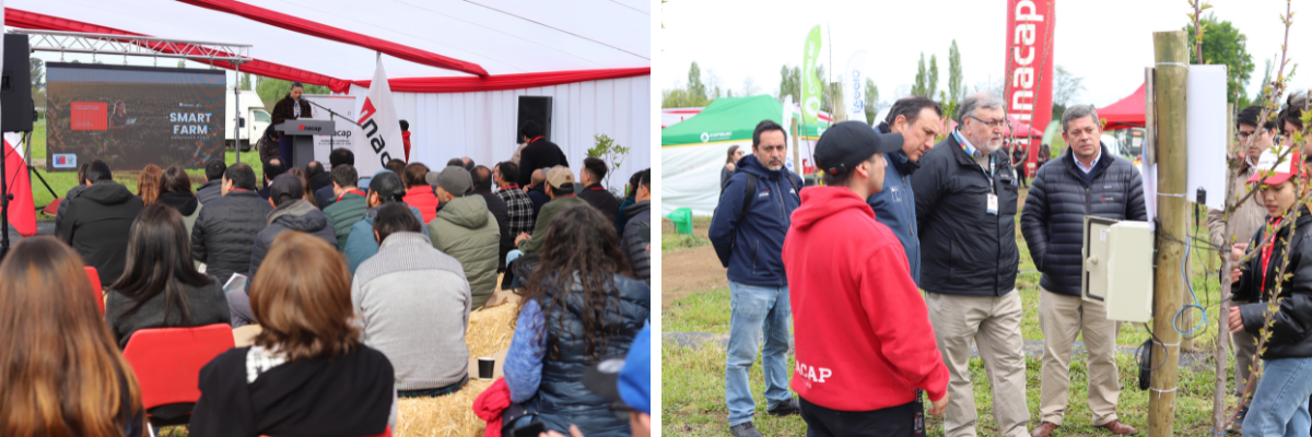 Smart Farm Experience Ñuble mostró en terreno cómo se está construyendo ...