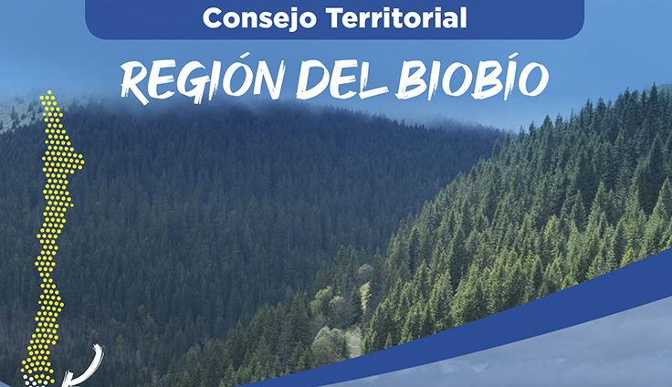 Consejo Territorial del Biobío