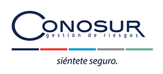 Logo CONOSUR