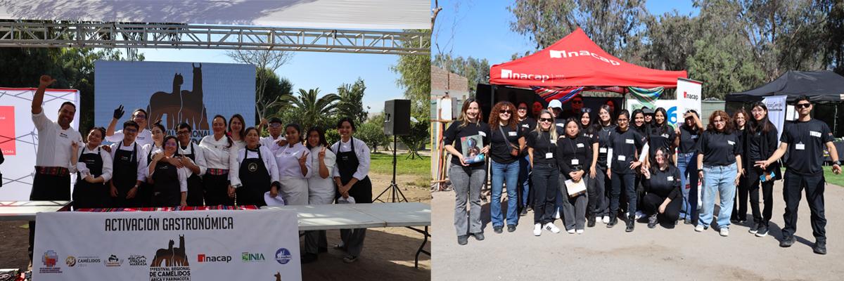 INACAP Sede Arica presente en el Primer Festival de Ganadería Camélida