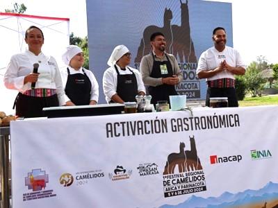 INACAP Sede Arica presente en el Primer Festival de Ganadería Camélida