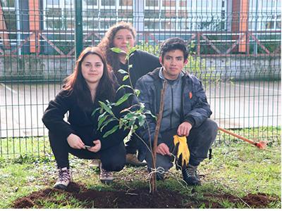 Inacapinos voluntarios de la Sede Osorno plantan árboles nativos y tulipanes en comuna de Entre Lagos