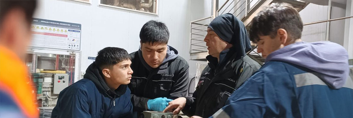 3 estudiantes hombres escuchando al profesor