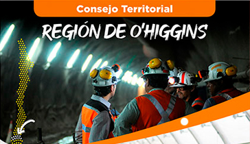 Consejo Territorial de O’Higgins