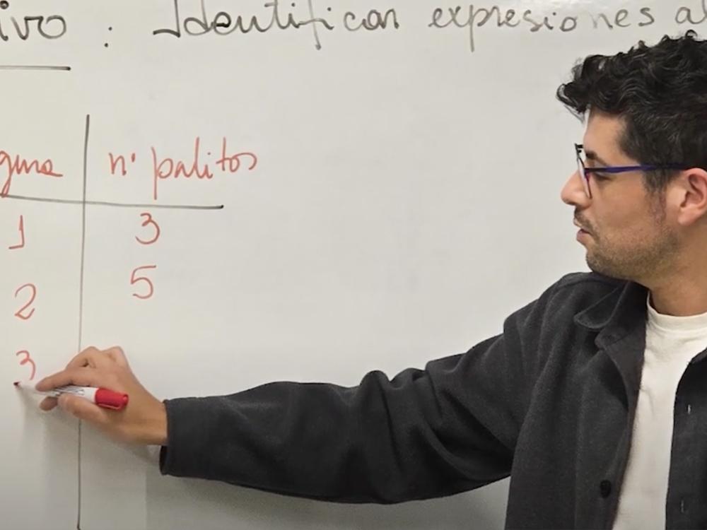 Profesor Guido Muñoz
