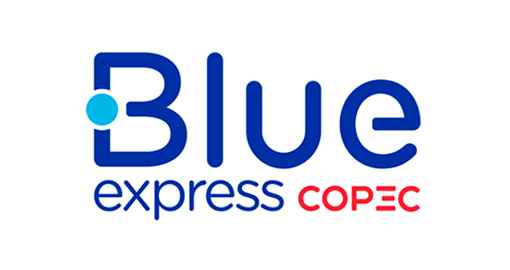 Logo Blue