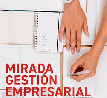 Mirada Gestión Empresarial vol #2