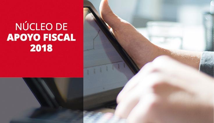 Núcleo de Apoyo Fiscal